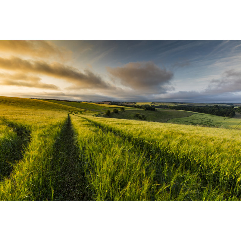 View Of Lincolnshire Wolds by Steven Hatton - Wrapped Canvas Print, 81cm H x 122cm W