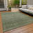 Machine Washable Indoor/Outdoor Kirksville ACN2150 Striped Rug-1767984302