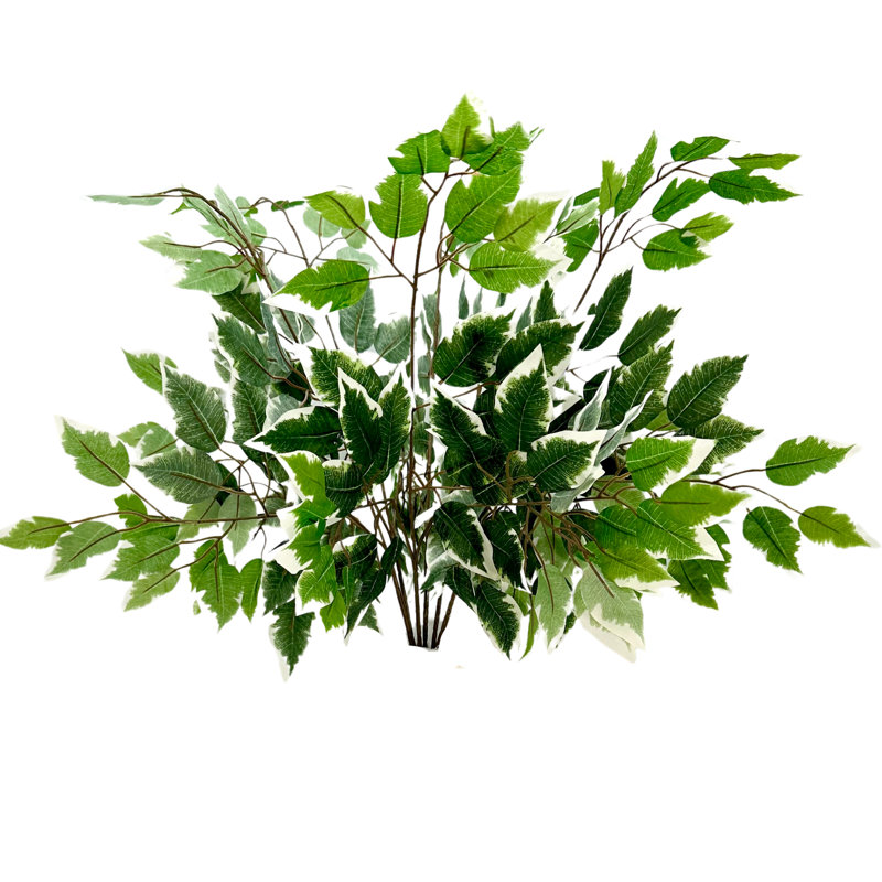 Ficuse artificielle de luxe, Vert