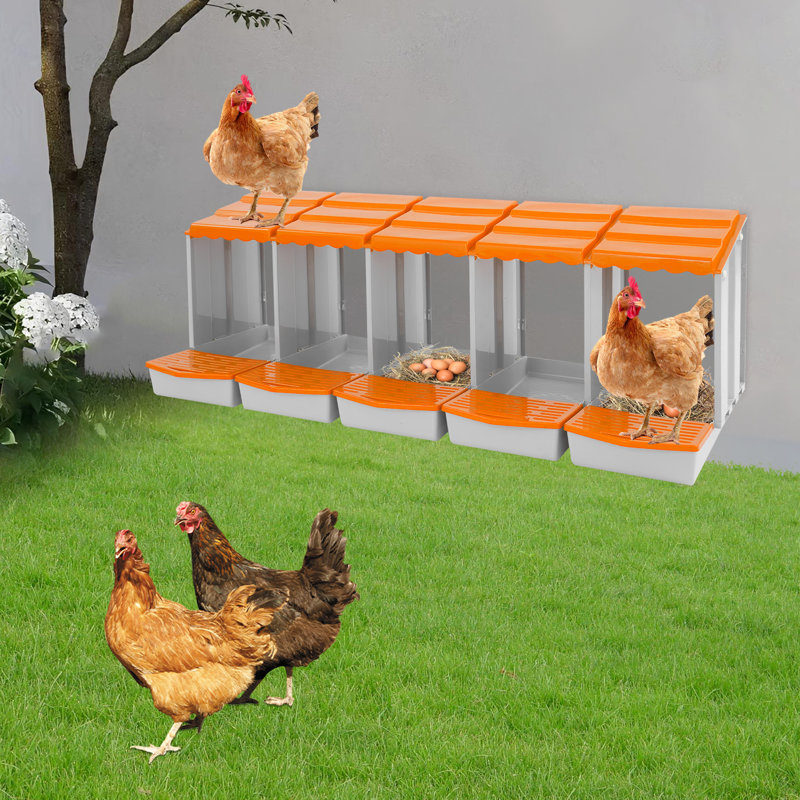 5-Compartment Chicken Nesting Box, Orange