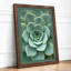Succulent Geometry Botanical - Framed Print-852844482-852844494