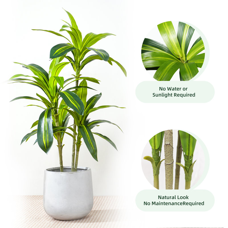 Anjely Faux Agave Plant, 100cm H  x 30cm W  x 30cm D
