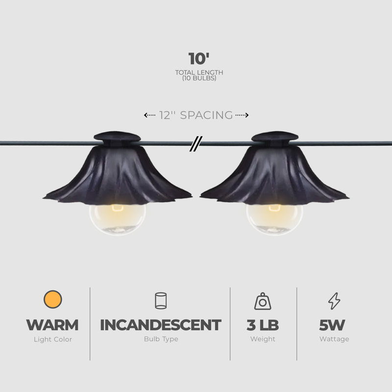 Winston Porter Palma 5 Watt 10 Light G12 Incandescent String Light Set, Clear