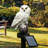 Christmas Decorations Solar Owl Light Integrated LED Resin Pathway Light Outdoor Waterproof-112575688
