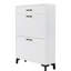 Armoire à chaussures blanche pour vestibule: 2 tiroirs rabattables, rangement de commode à tiroirs - blanc, peu encombrant et couloir
