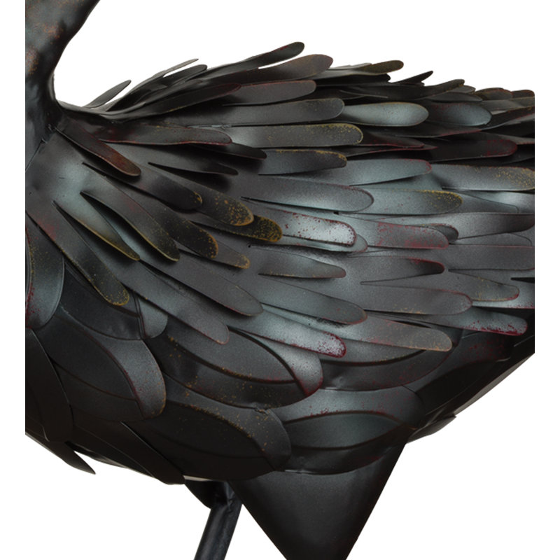 Cygne noir 18 po