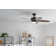Nyxton 52'' Ceiling Fan with LED Lights