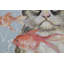 Very Crabby Cat Hand Painted Acrylic Painting
