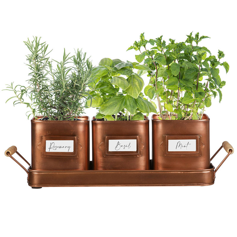 Cockerham Metal Pot Planter, Copper