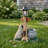 Sitting Pug Dog Planter Statue