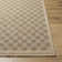 Abbie Machine Woven Checkered Area Rug