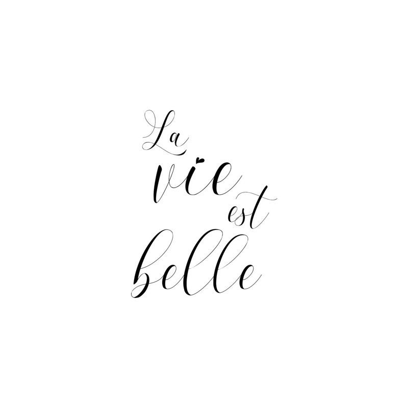 La Vie Est Belle NUV263, H 26 po x l 18 po x 1,5 po