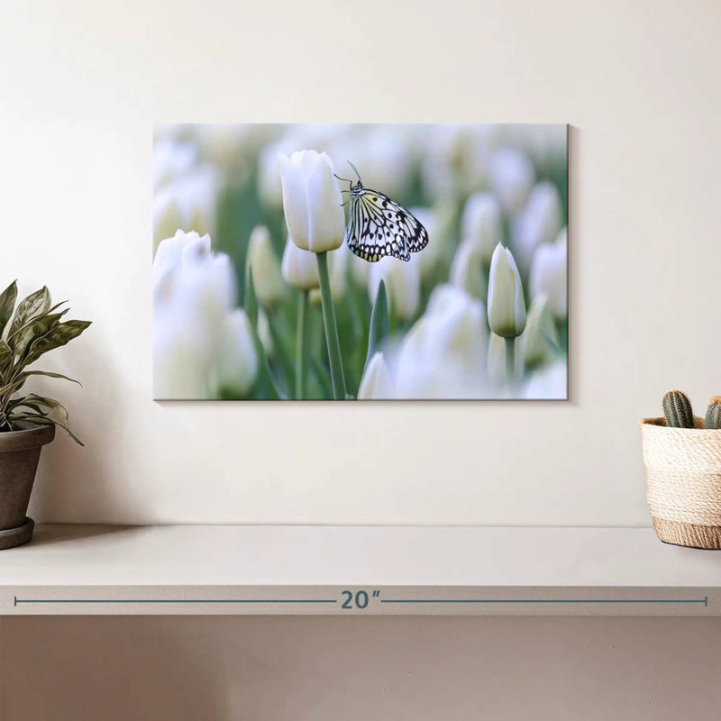 Pearl White Butterfly, 8" H x 12" W