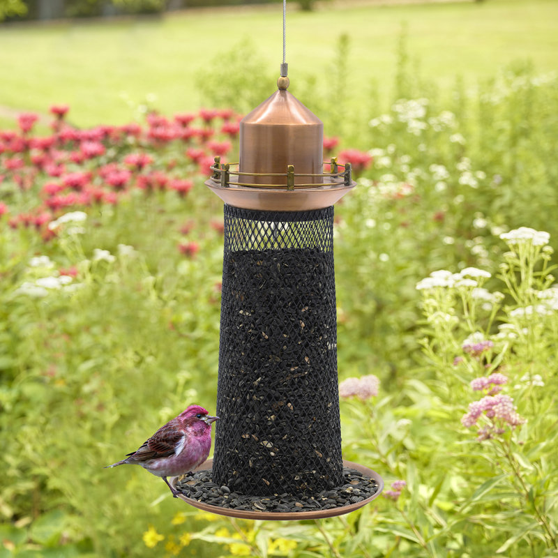 Mangeoire en cuivre pour phare - avec accents en laiton et tube en filet noir