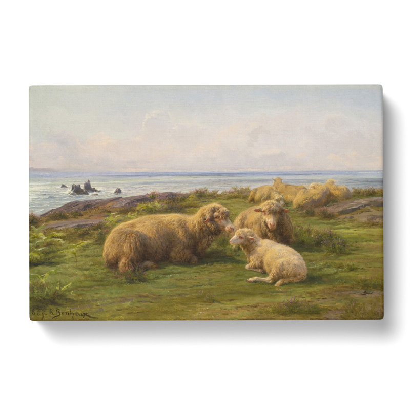 Sheep by Rosa Bonheur - Wrapped Canvas, 35cm H x 50cm W x 3cm D