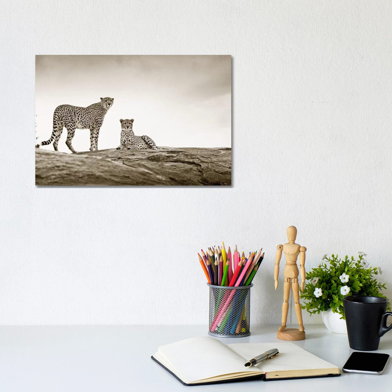 Alert Cheetahs by Klaus Tiedge - Wrapped Canvas Print, 20.32 cm H x 30.48 cm W