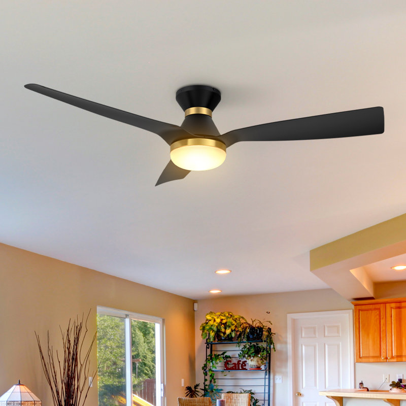 Ekam 52'' Ceiling Fan with LED Lights
