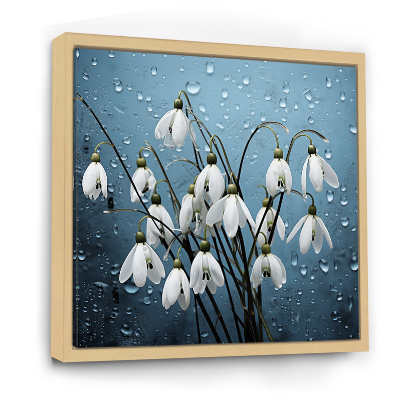 «Minimalisme Snowdrop Flower Photo III», reproduction d'art sur toile, Cadre naturel flottant, H 30 po x l 30 po