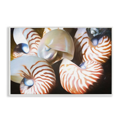 Nautilus Shells Cluster Framed Giclee Art by Graffi*tee Studios