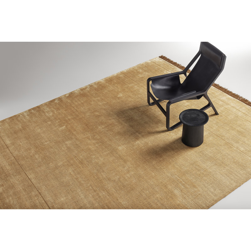 Fancy Area Rug in Gold/Brown, Rectangle 9' x 12'