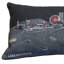 Coussin Chicago-100210073