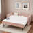 Diamond Grid Velvet Daybed With Usb Charging, Side Pocket And Trundle-685159689