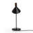 Sabine Naiesha Desk Lamp-1176135835