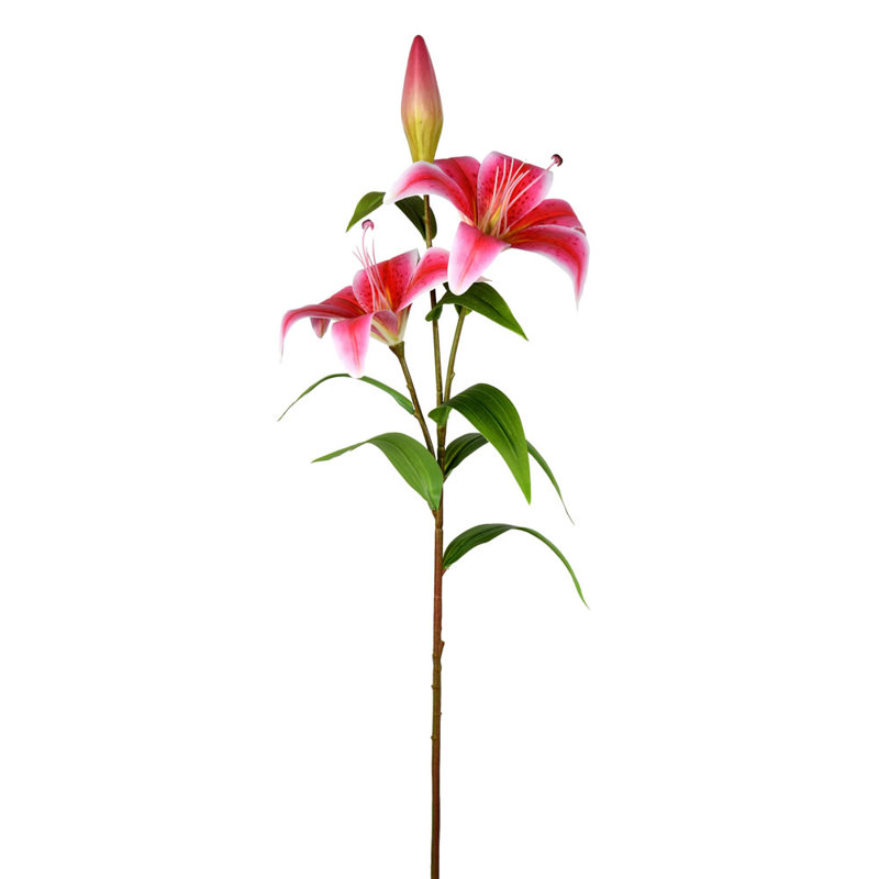 Vaporisateur de lis artificiel, Rose
