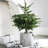 Textured Zinc Bucket with Built-In Handles-598956684