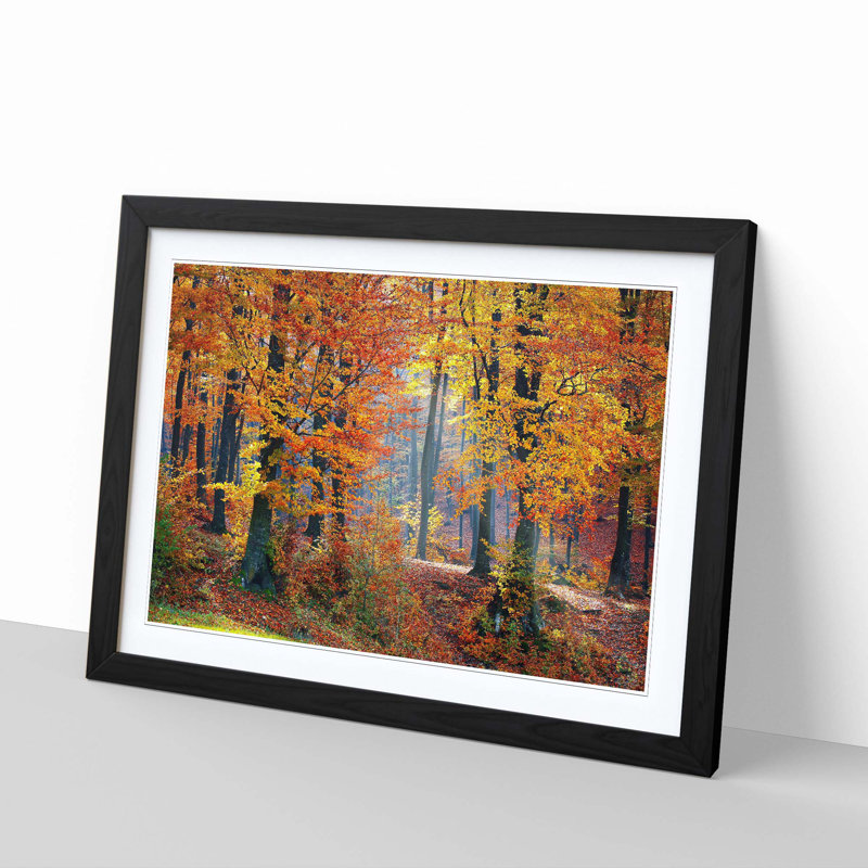 Landscape Forest in the Autumn - Framed Print, Black