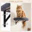 Cat Tree-359500474