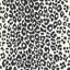 Iconic Leopard Wallpaper-20425793