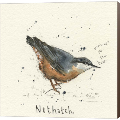 «Nuthatch» par Michelle Campbell - reproduction d'art sur toile tendue