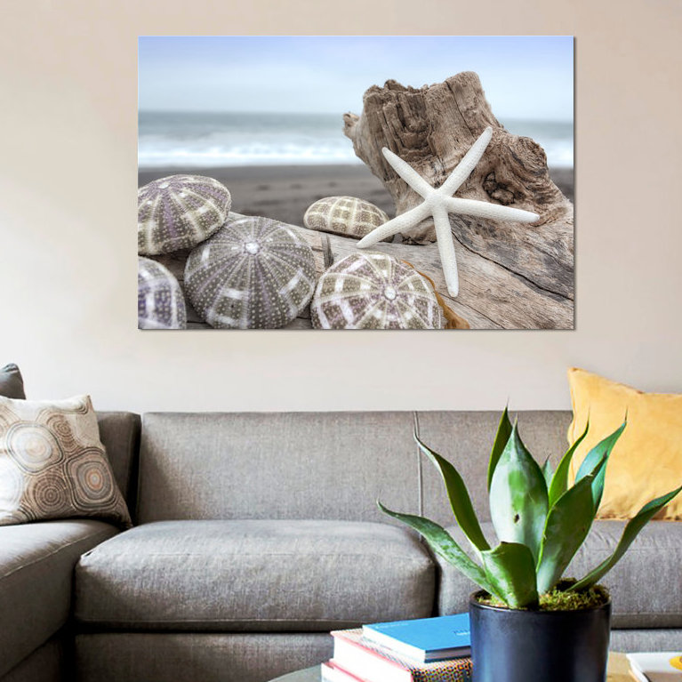 «Crescent Beach Shells V», reproduction de photo sur toile, H 12 po x l 18 po x P 1,5 po, Toile tendue, Pas de tapis