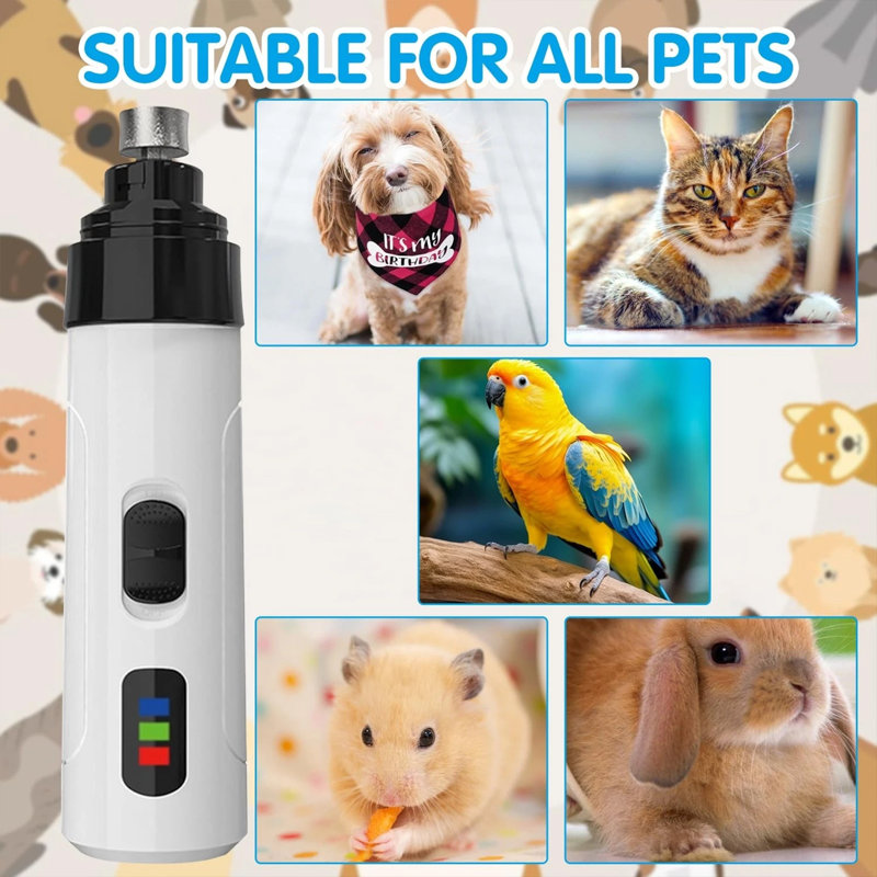 Outil de tondeuse électrique pour chien