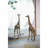 Contemporary Bathroom Mirror With Gold Metal Frame And Abstract Design