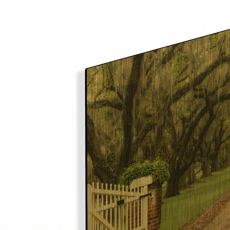 « Plantation Road » de Daniel Burt, décoration murale en métal, 40,6 x 30,5 cm, 16 po x 12 po