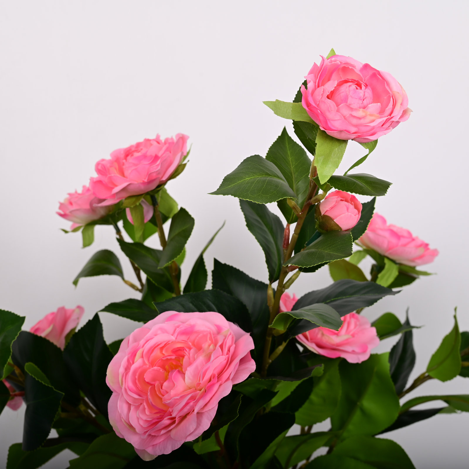 Tuomo Peony Floral Arrangement, Pink