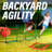 Dog Agility Training Set