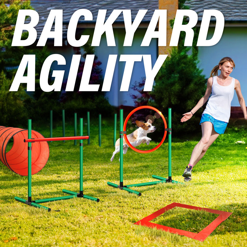 Orange and Green Dog Agility Training Set with Tunnel and Hurdles