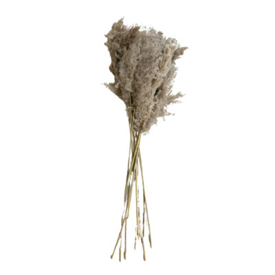  Large Bundle of Natural Pampas Grass – 39" Tall Dried Decorative Stems, Set Of 4