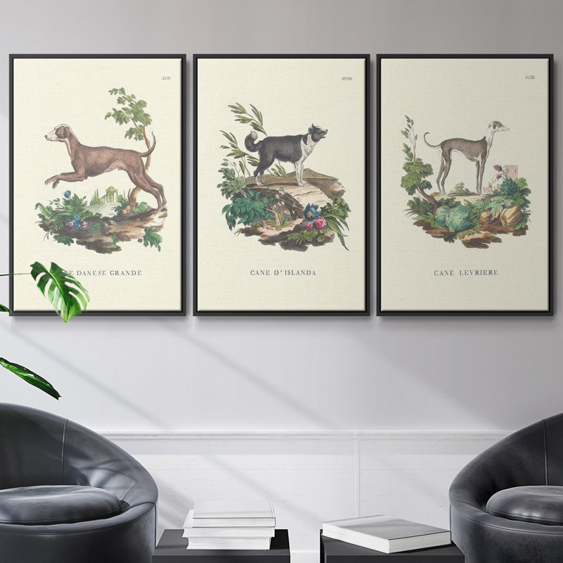 Lamarck Shells IV, ensemble de 3 toiles encadrées sur toile, Cadre noir, H 36 po x l 72 po