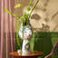 Titania Ceramic / Porcelain Table Vase