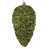Limette