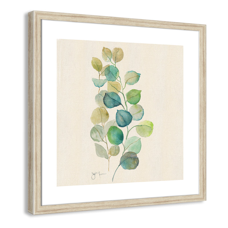 «Eucalyptus II», reproduction encadrée