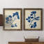 Indigo Leaf Study II-304734491-304770338-304770360