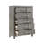 Adryan 34'' W 5 - Drawer Chest-168175101