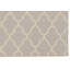 Hand Woven Silver Indoor Rug