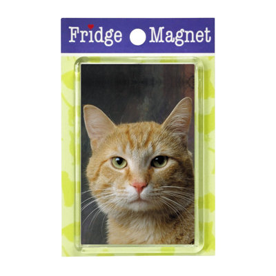 Fridge Magnet