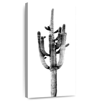 Saguaro noir et blanc II